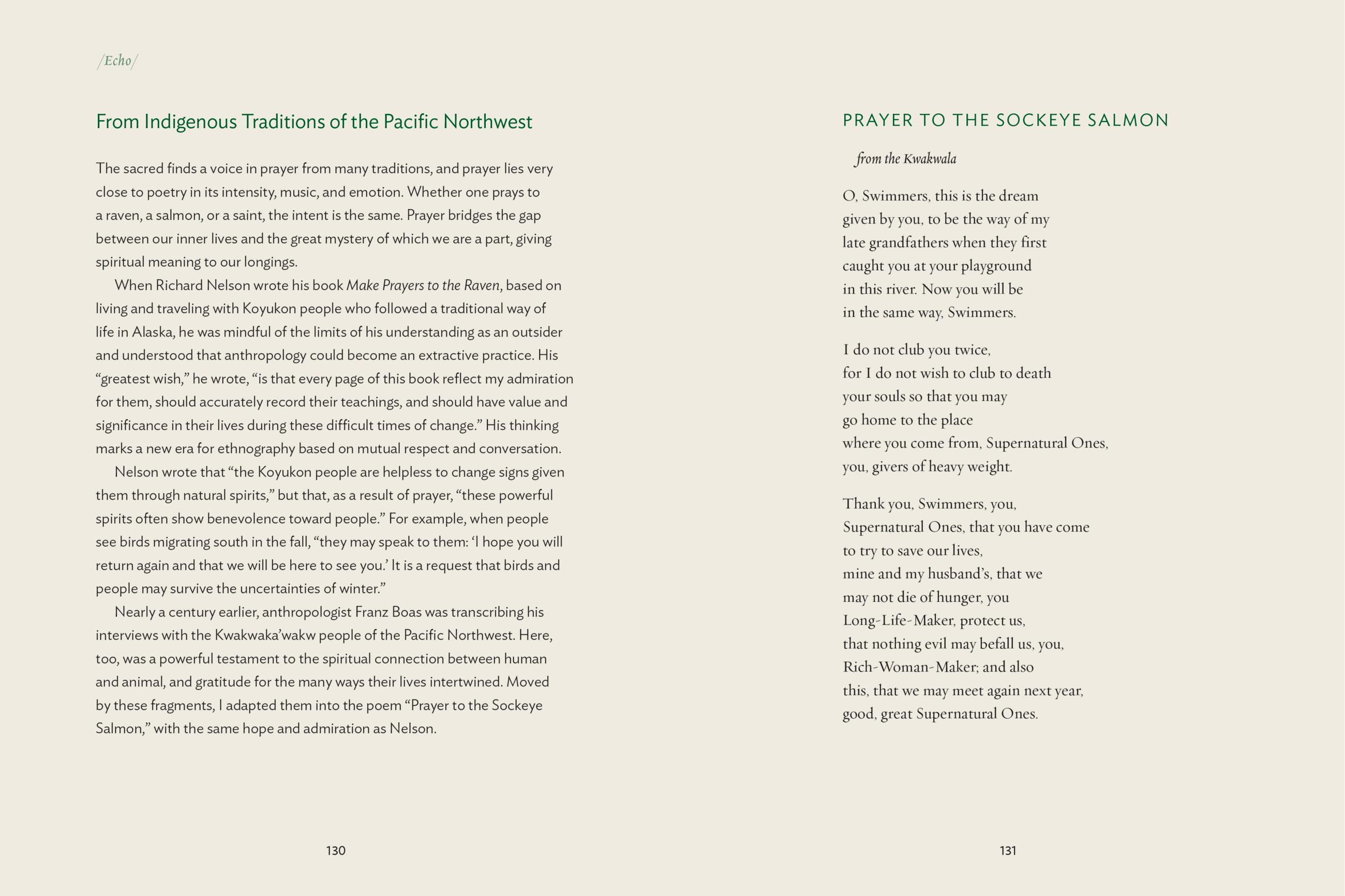 Beispielinhalt (Bild) The Gift of Animals