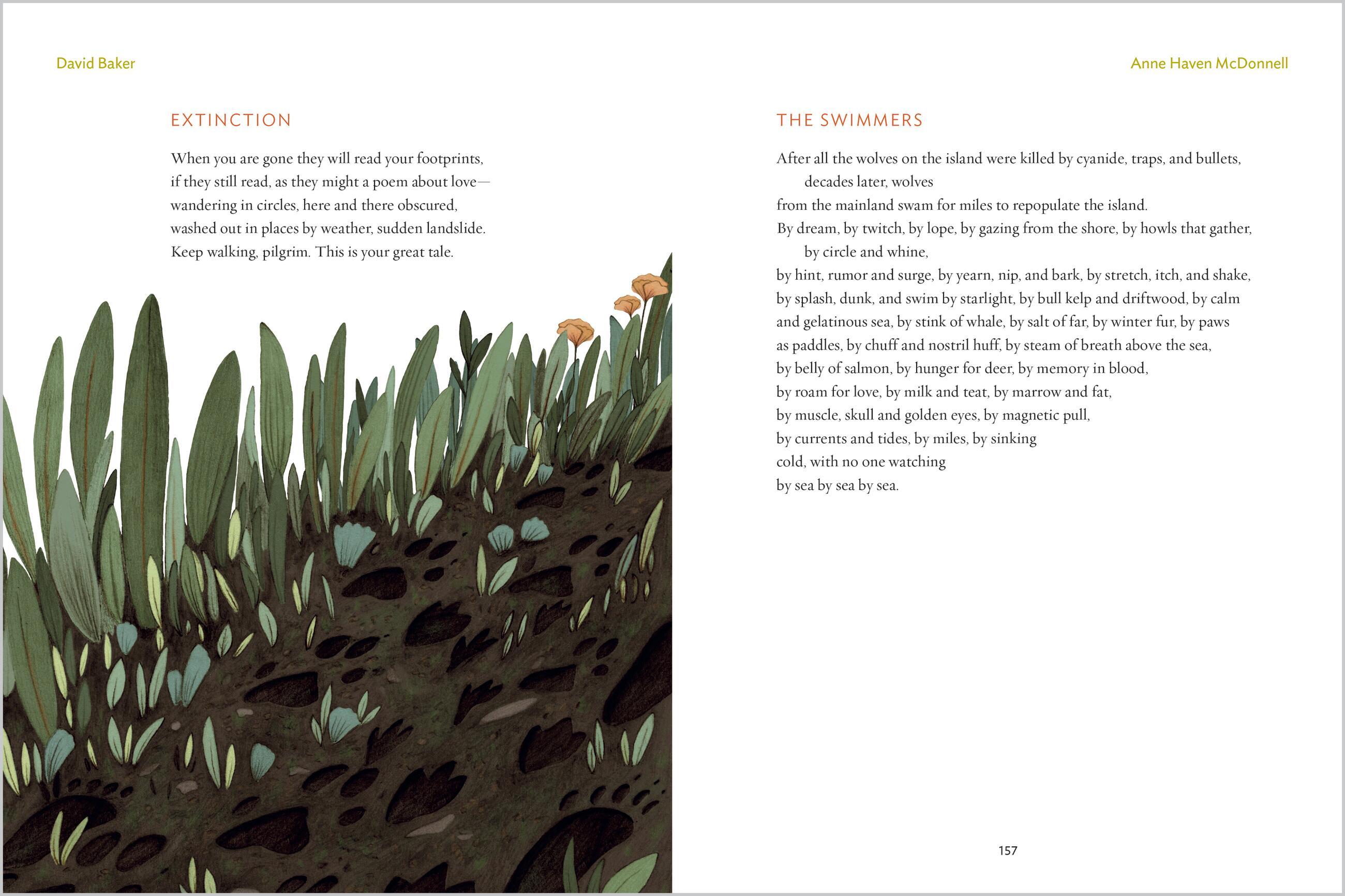 Beispielinhalt (Bild) The Gift of Animals