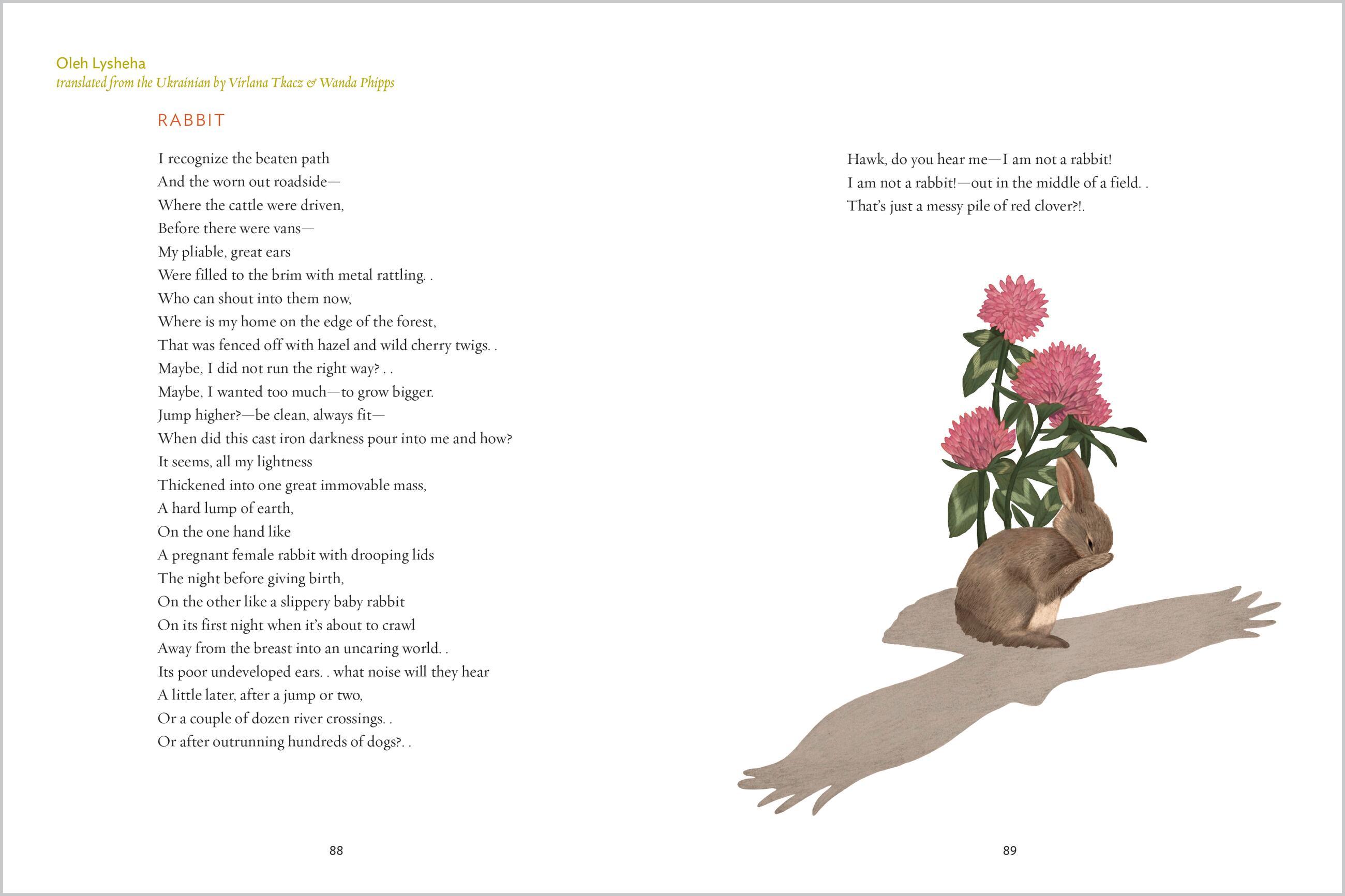 Beispielinhalt (Bild) The Gift of Animals