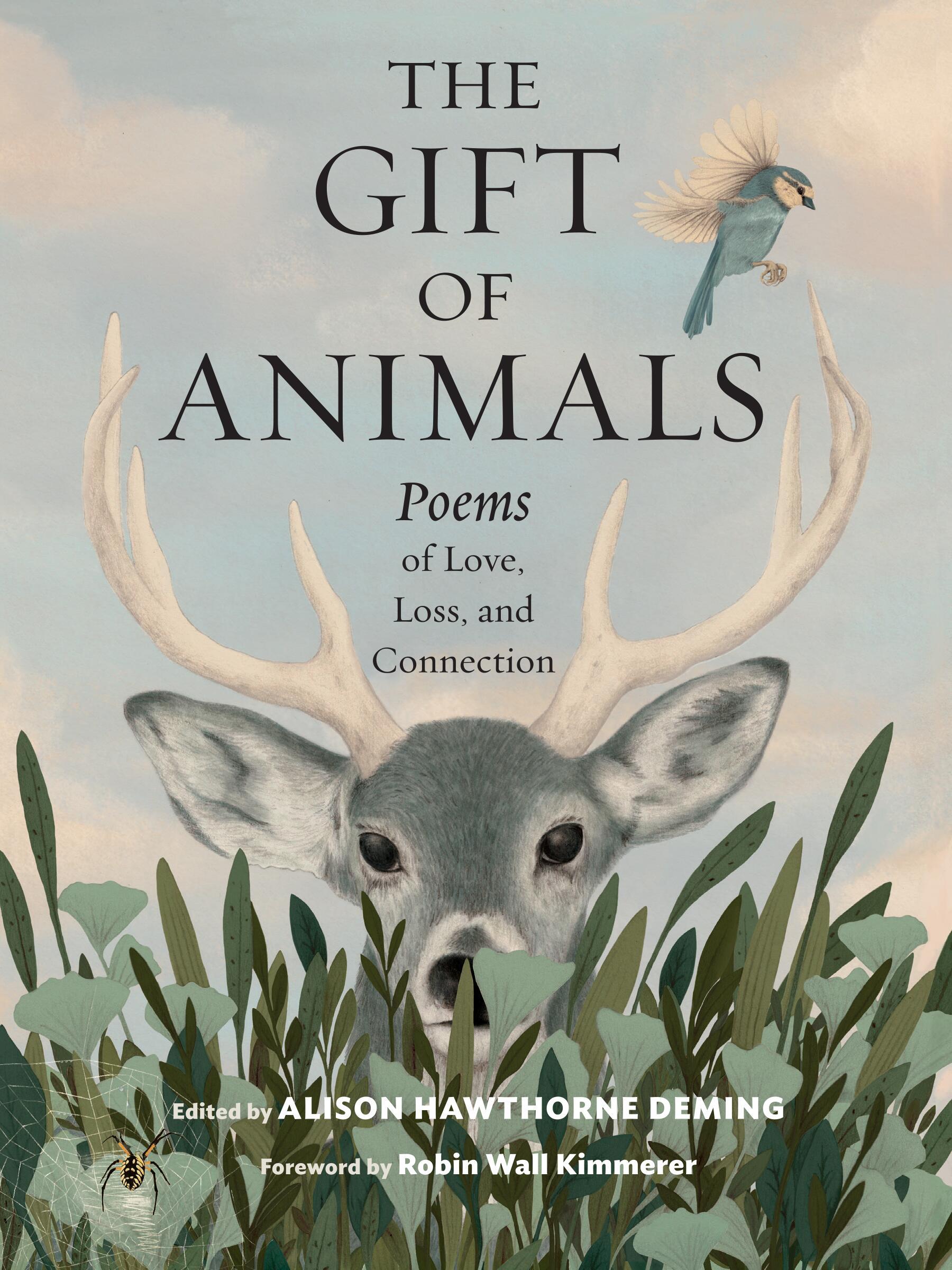 Vorderes Coverbild The Gift of Animals