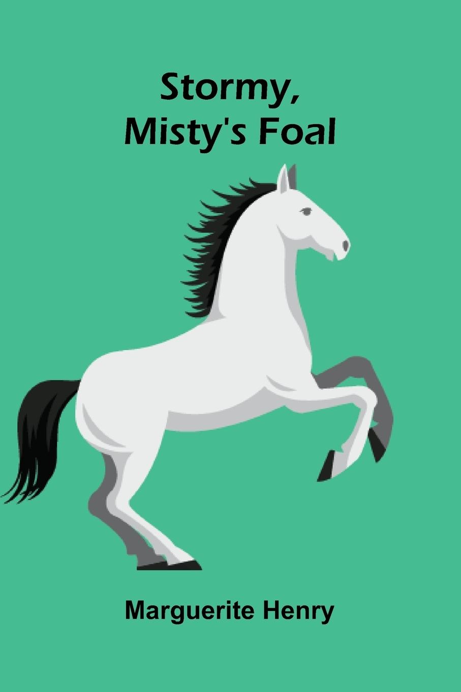 Vorderes Coverbild Stormy, Misty's Foal