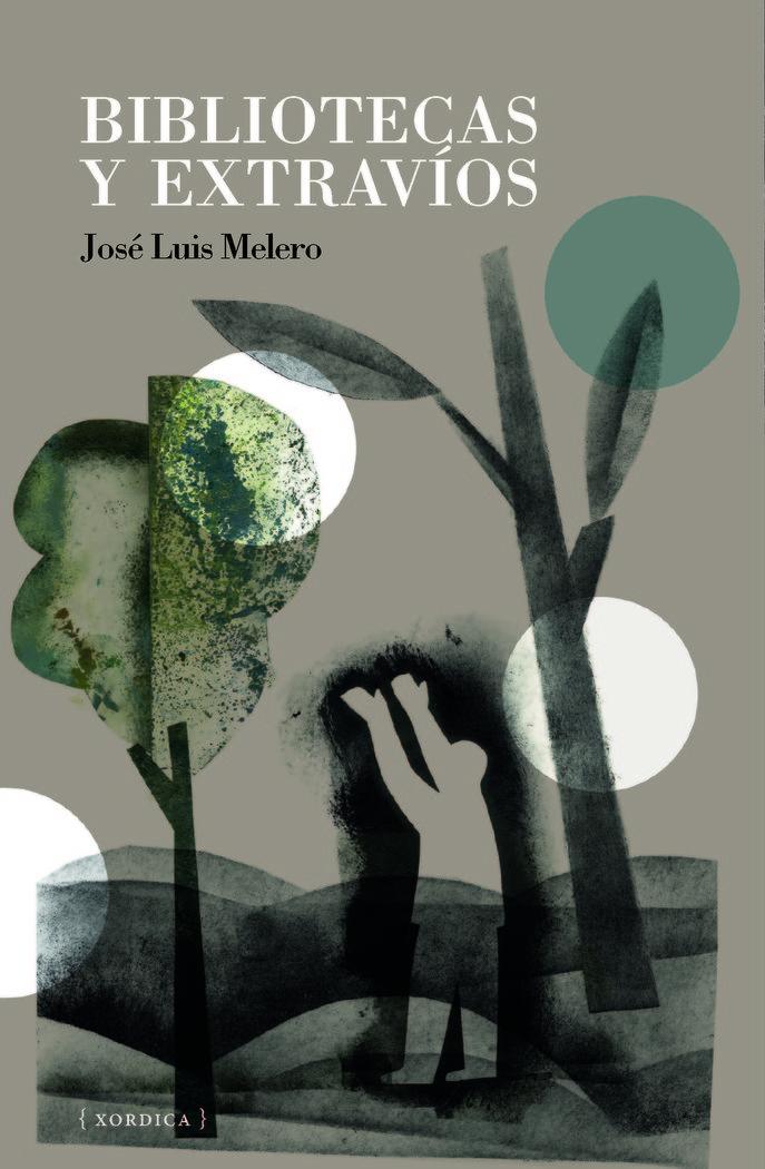 Vorderes Coverbild Bibliotecas y extravíos