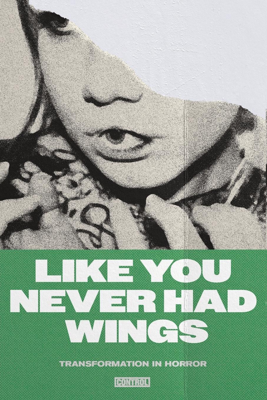 Vorderes Coverbild Like You Never Had Wings