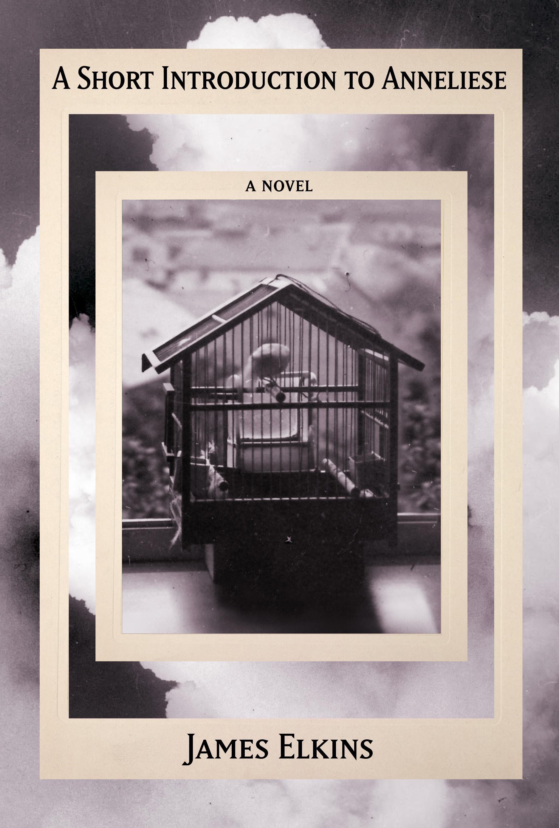 Vorderes Coverbild A Short Introduction to Anneliese