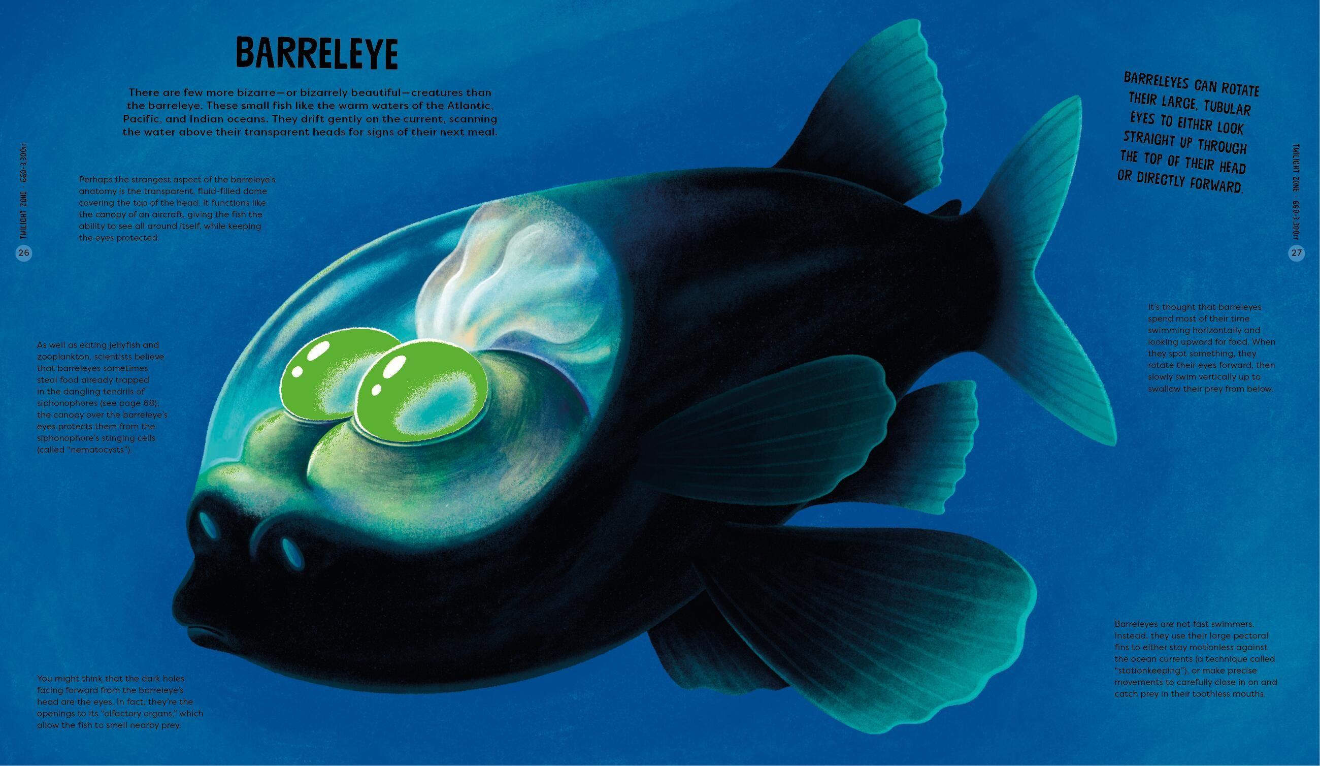 Beispielinhalt (Bild) Beasts from the Deep