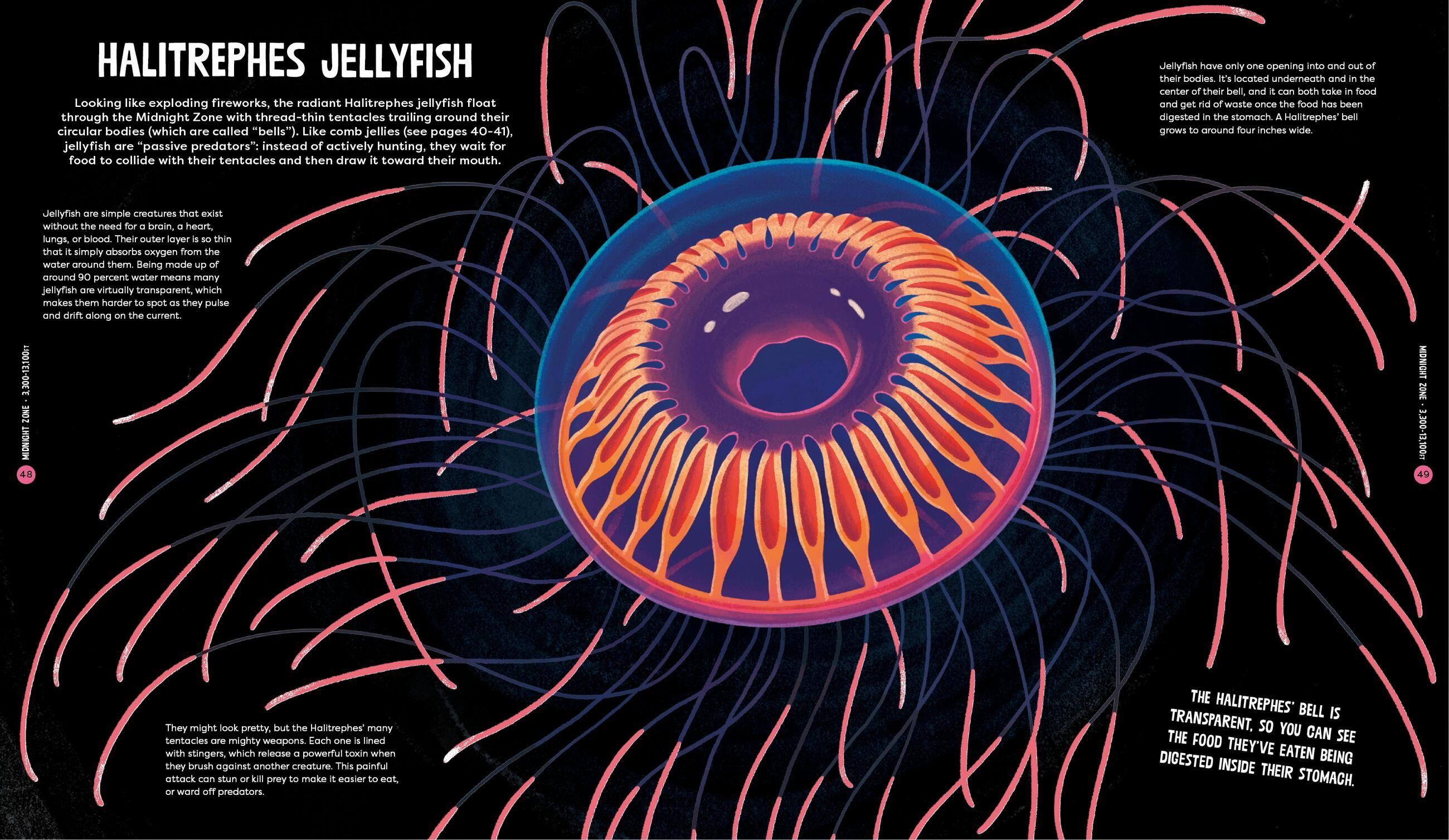 Beispielinhalt (Bild) Beasts from the Deep