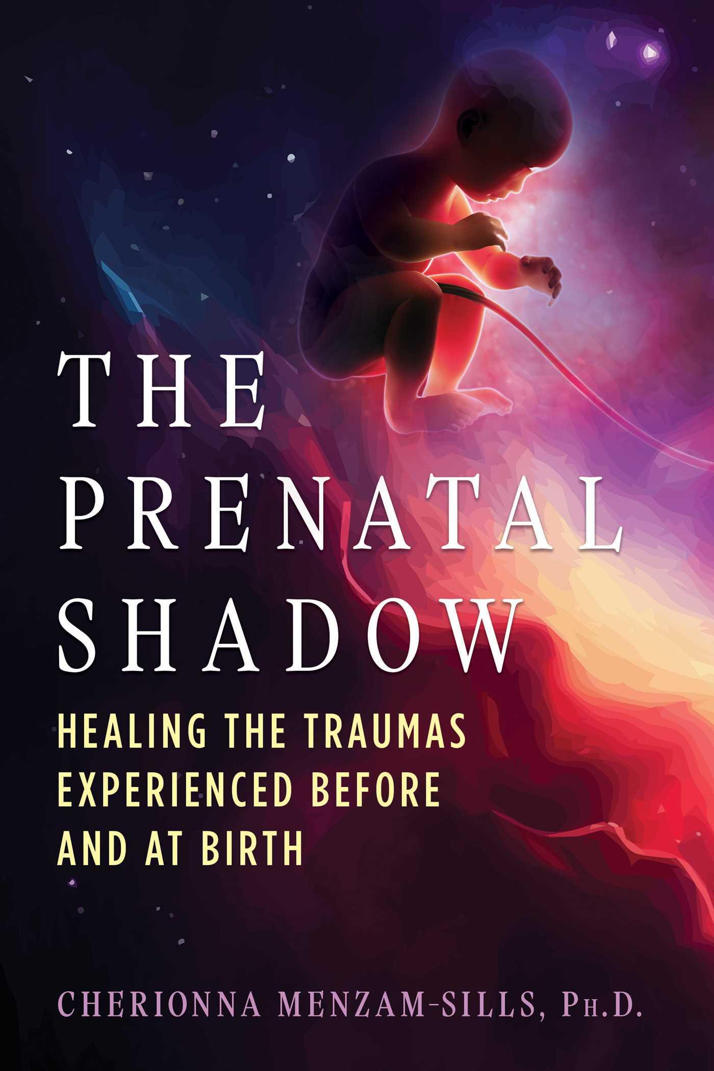Vorderes Coverbild The Prenatal Shadow