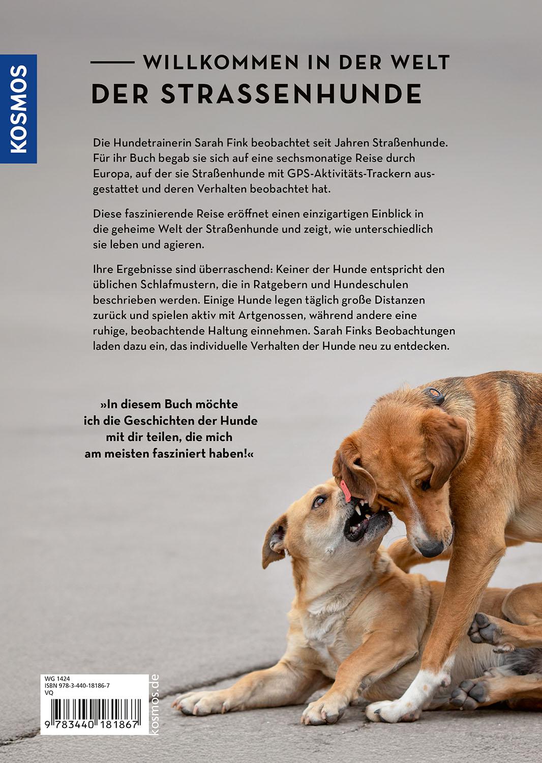 Beispielinhalt (Bild) Die geheime Welt der Straßenhunde