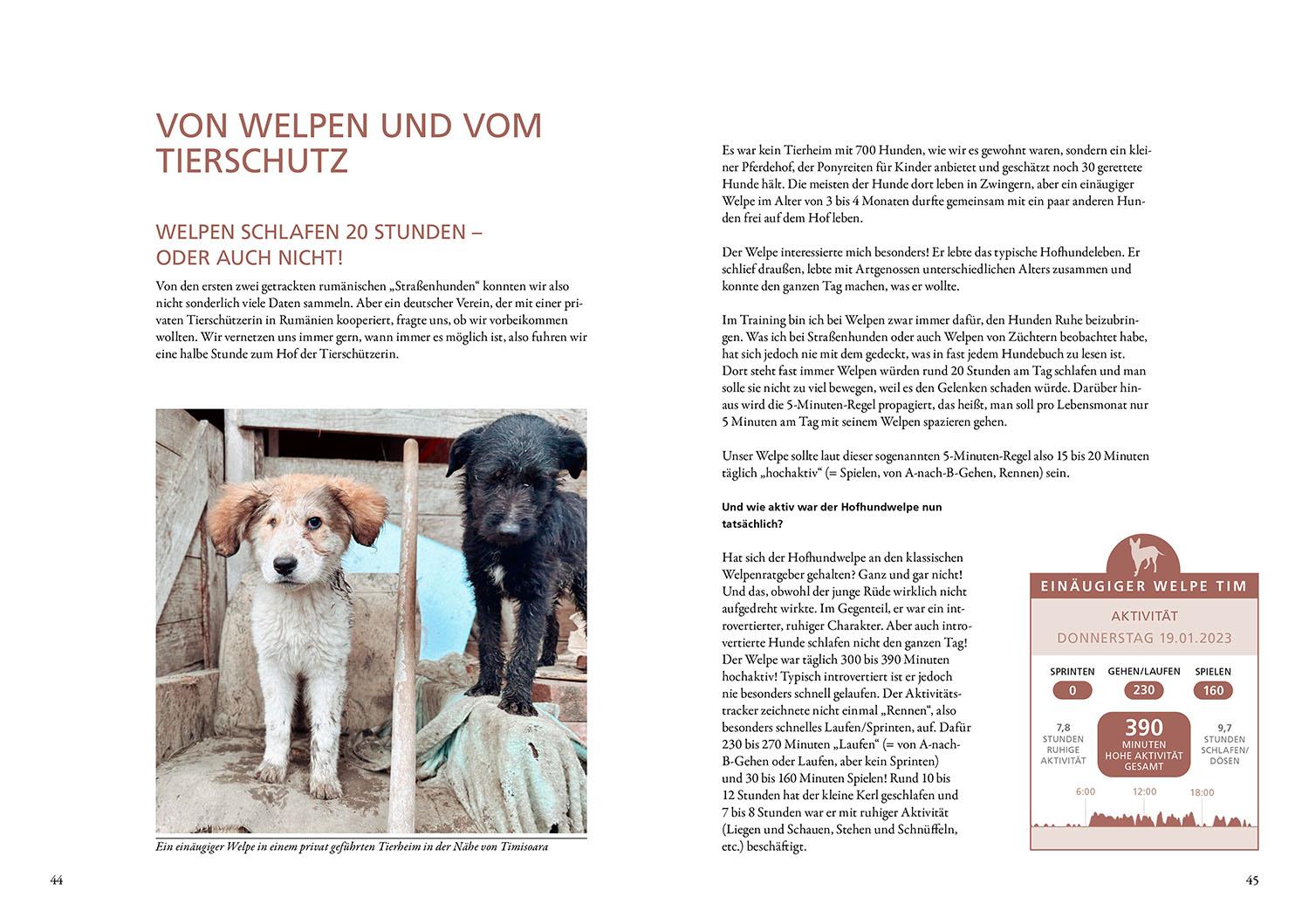 Beispielinhalt (Bild) Die geheime Welt der Straßenhunde