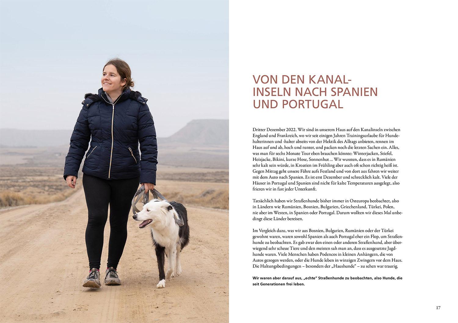 Beispielinhalt (Bild) Die geheime Welt der Straßenhunde