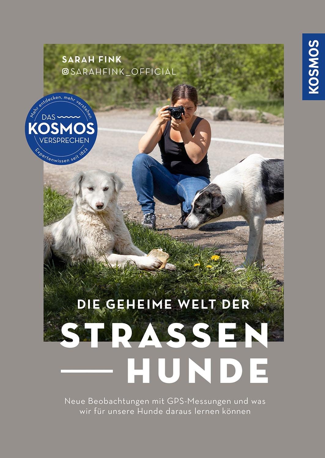 Vorderes Coverbild Die geheime Welt der Straßenhunde