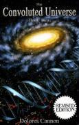Vorderes Coverbild The Convoluted Universe