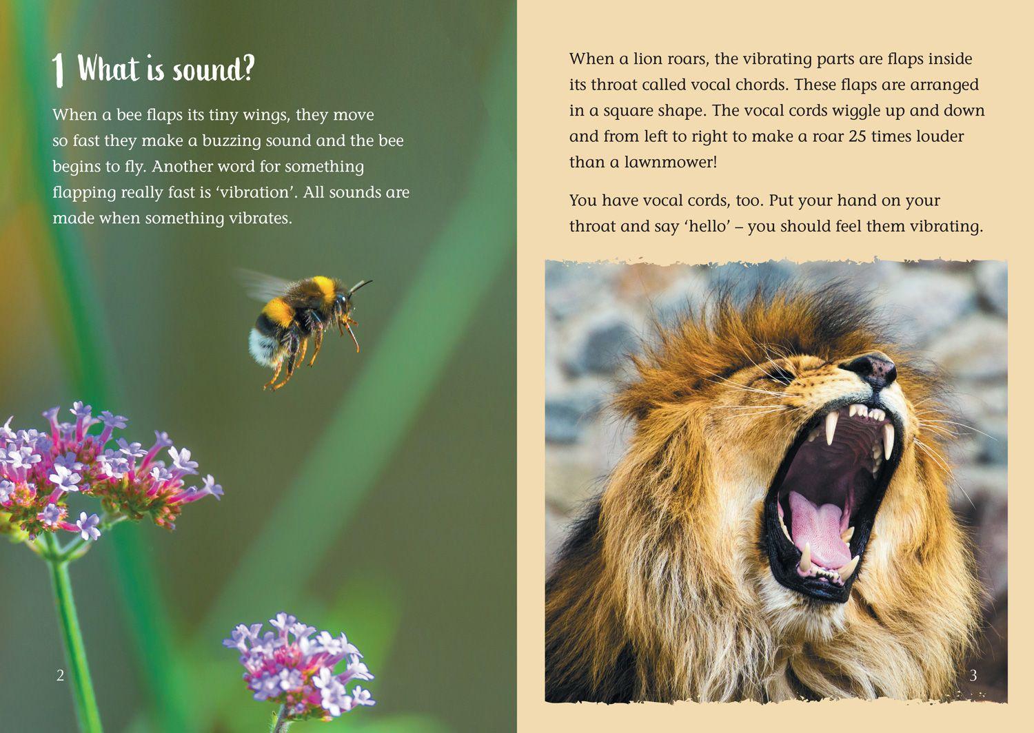 Beispielinhalt (Bild) What is sound?