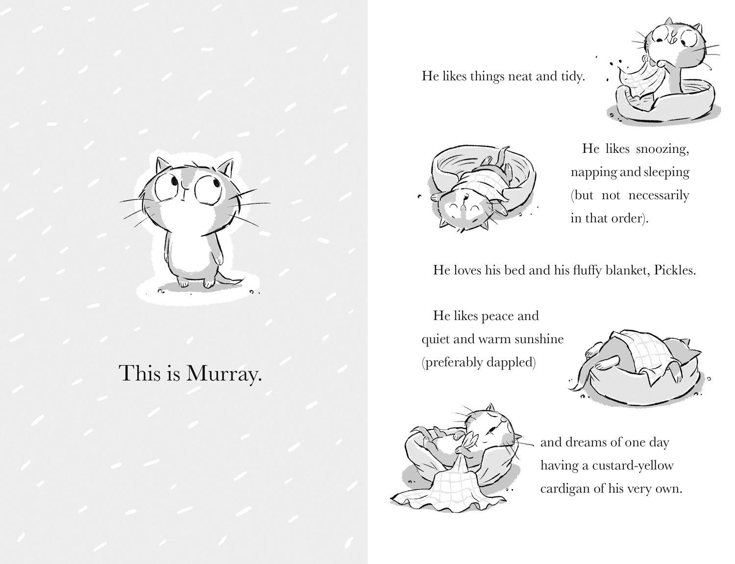 Beispielinhalt (Bild) Murray the Ghosthunter