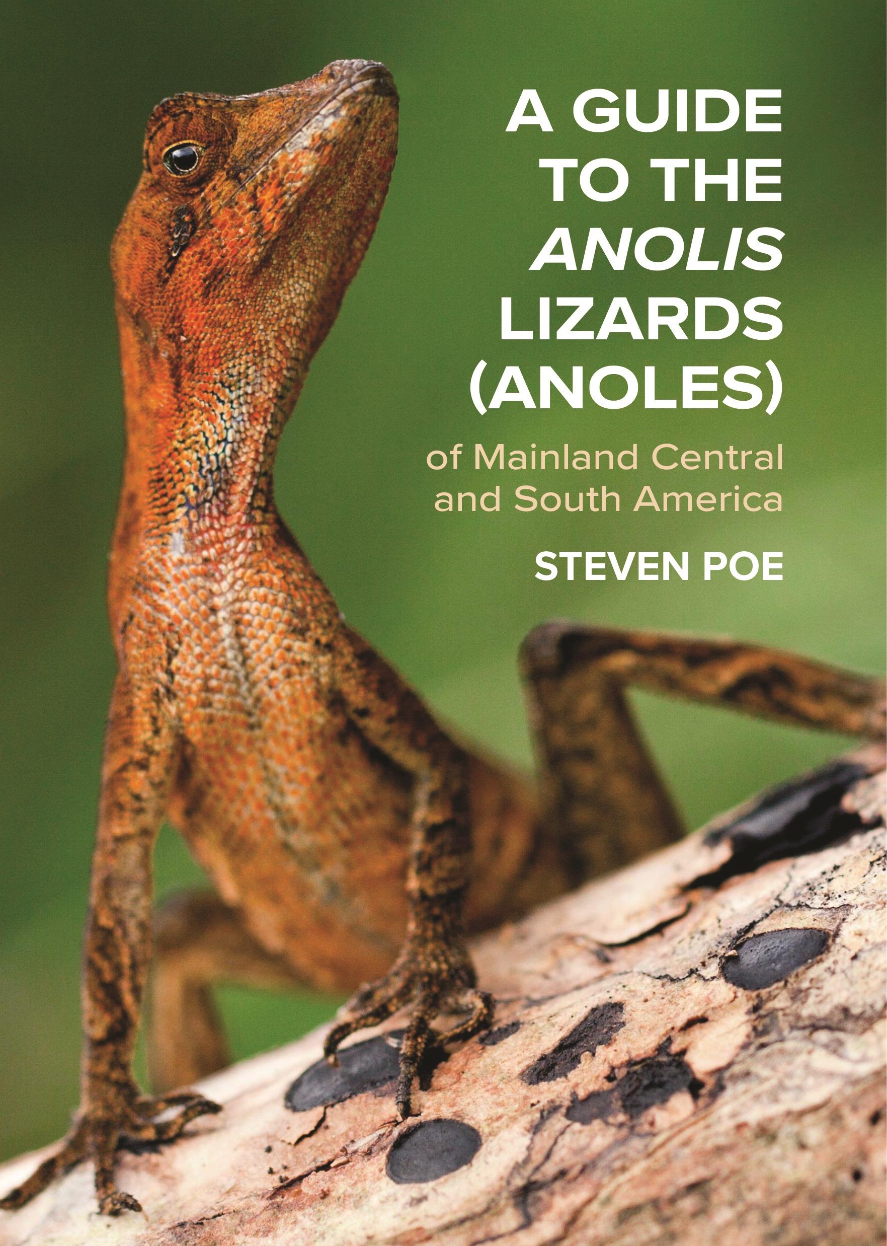 Vorderes Coverbild A Guide to the Anolis Lizards (Anoles) of Mainland Central and South America