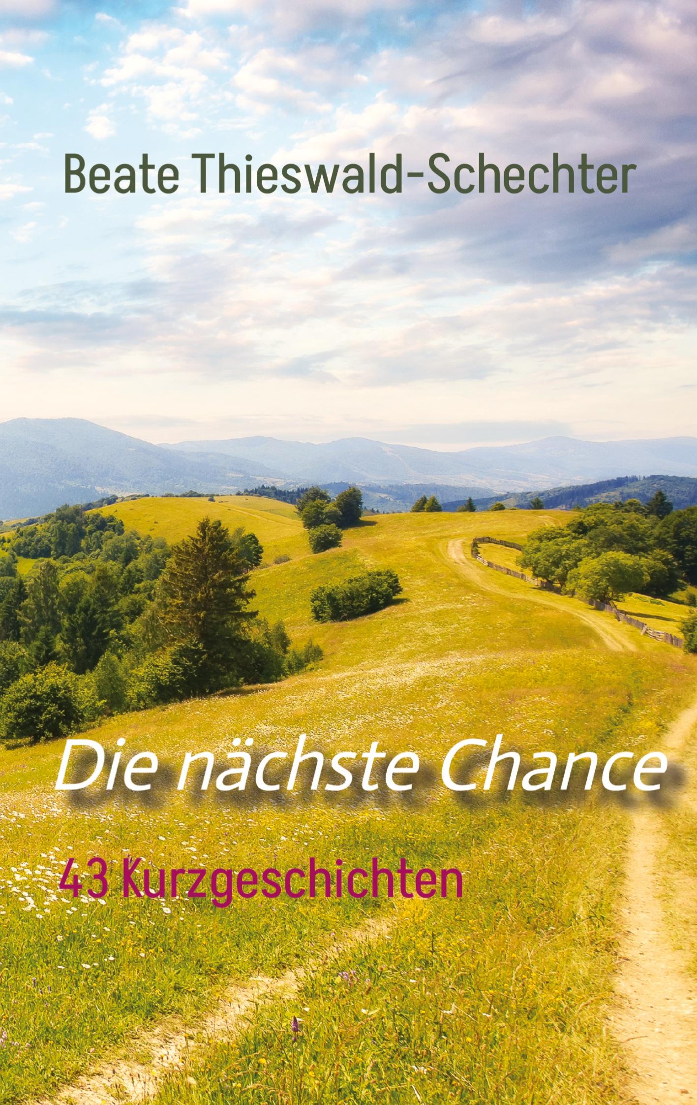 Vorderes Coverbild Die nächste Chance