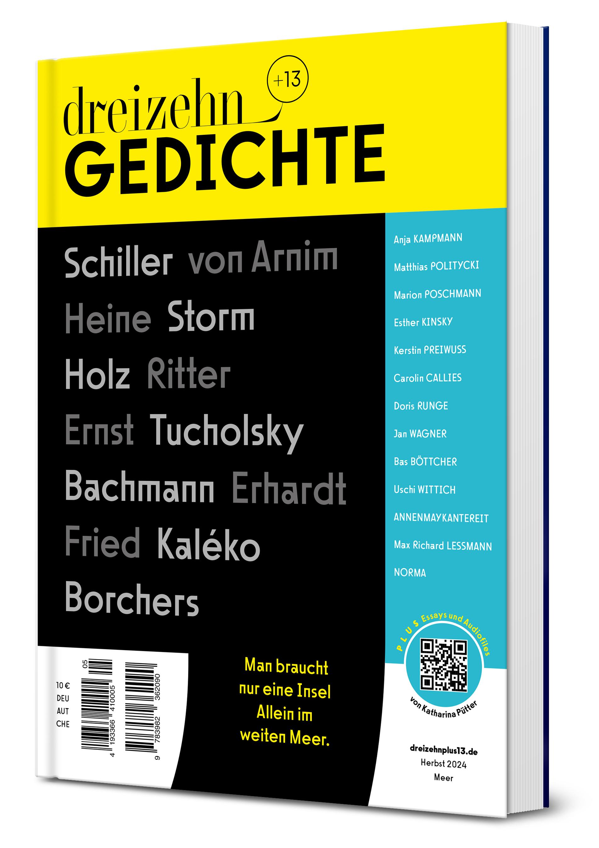 Vorderes Coverbild dreizehn +13 Gedichte