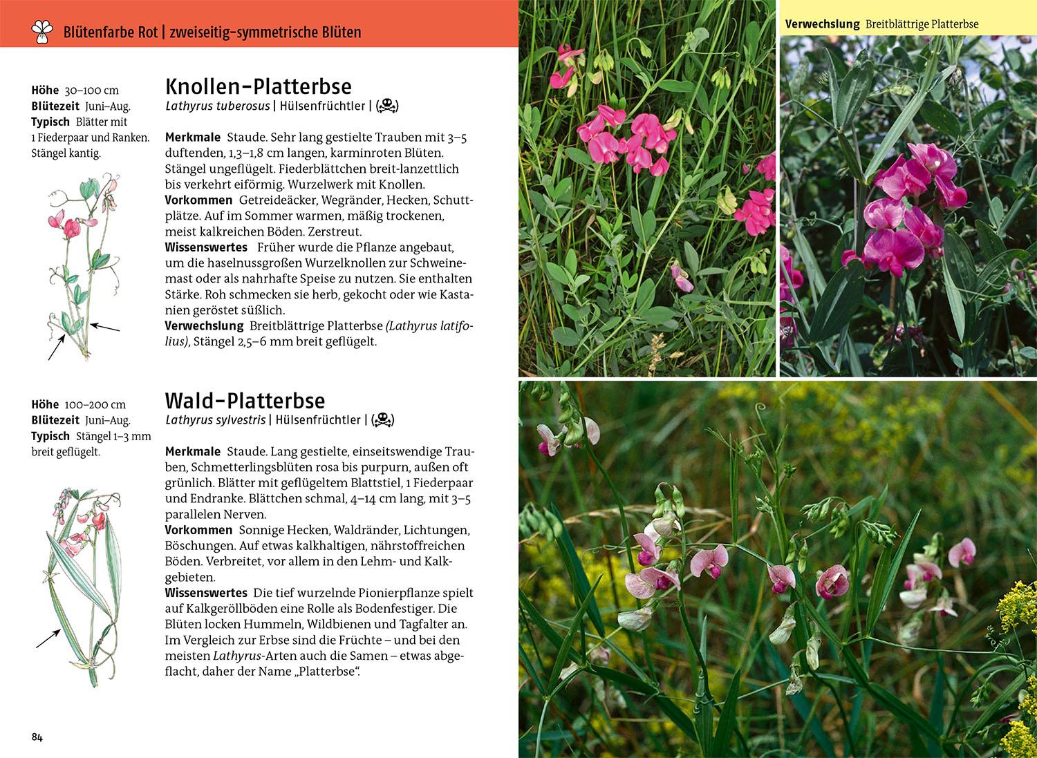 Beispielinhalt (Bild) Was blüht denn da - Der Fotoband