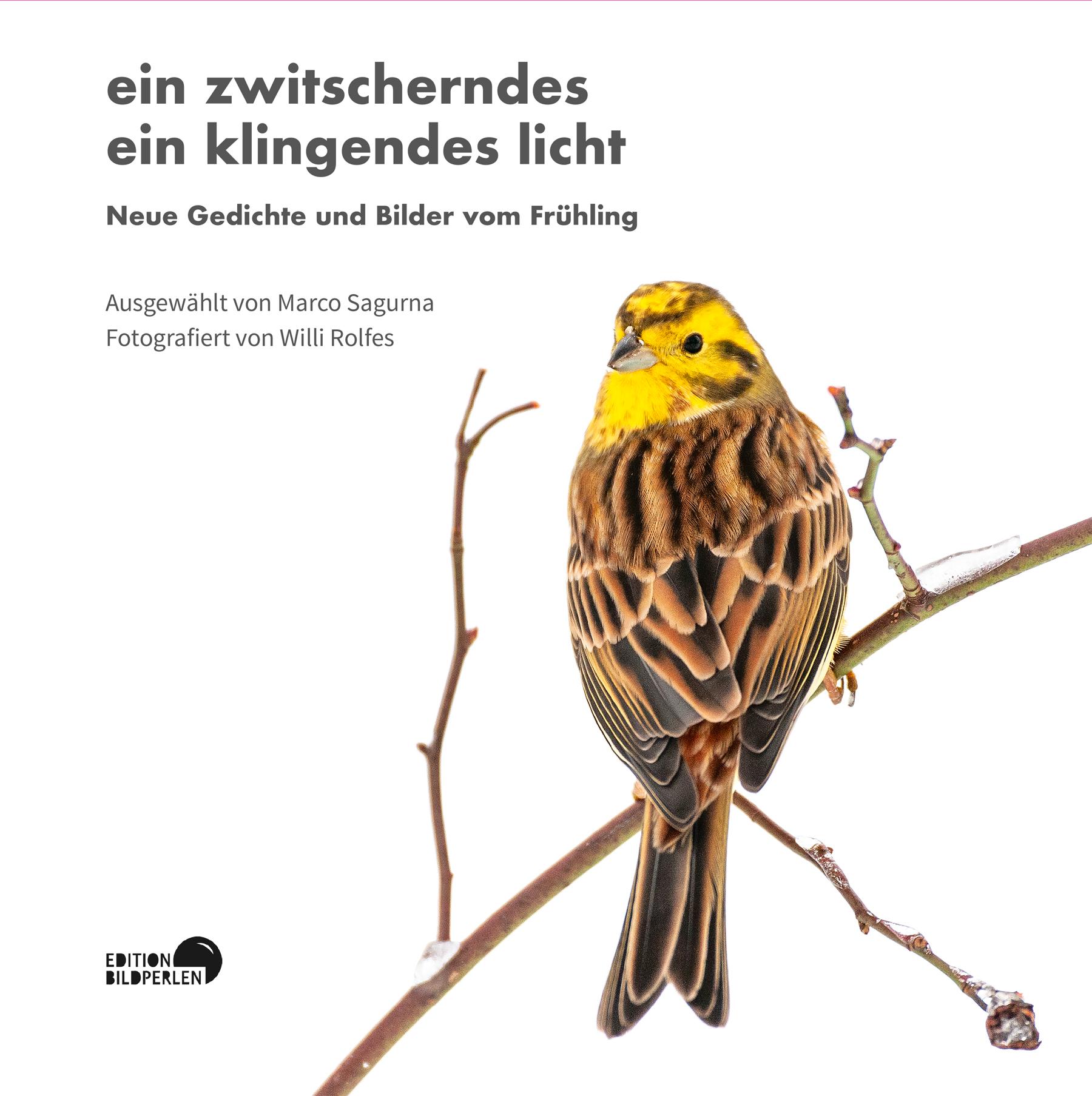 Vorderes Coverbild 2