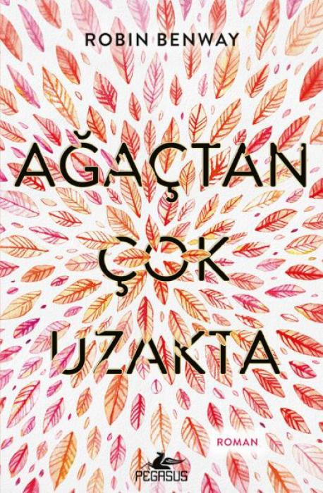 Vorderes Coverbild Agactan Cok Uzakta