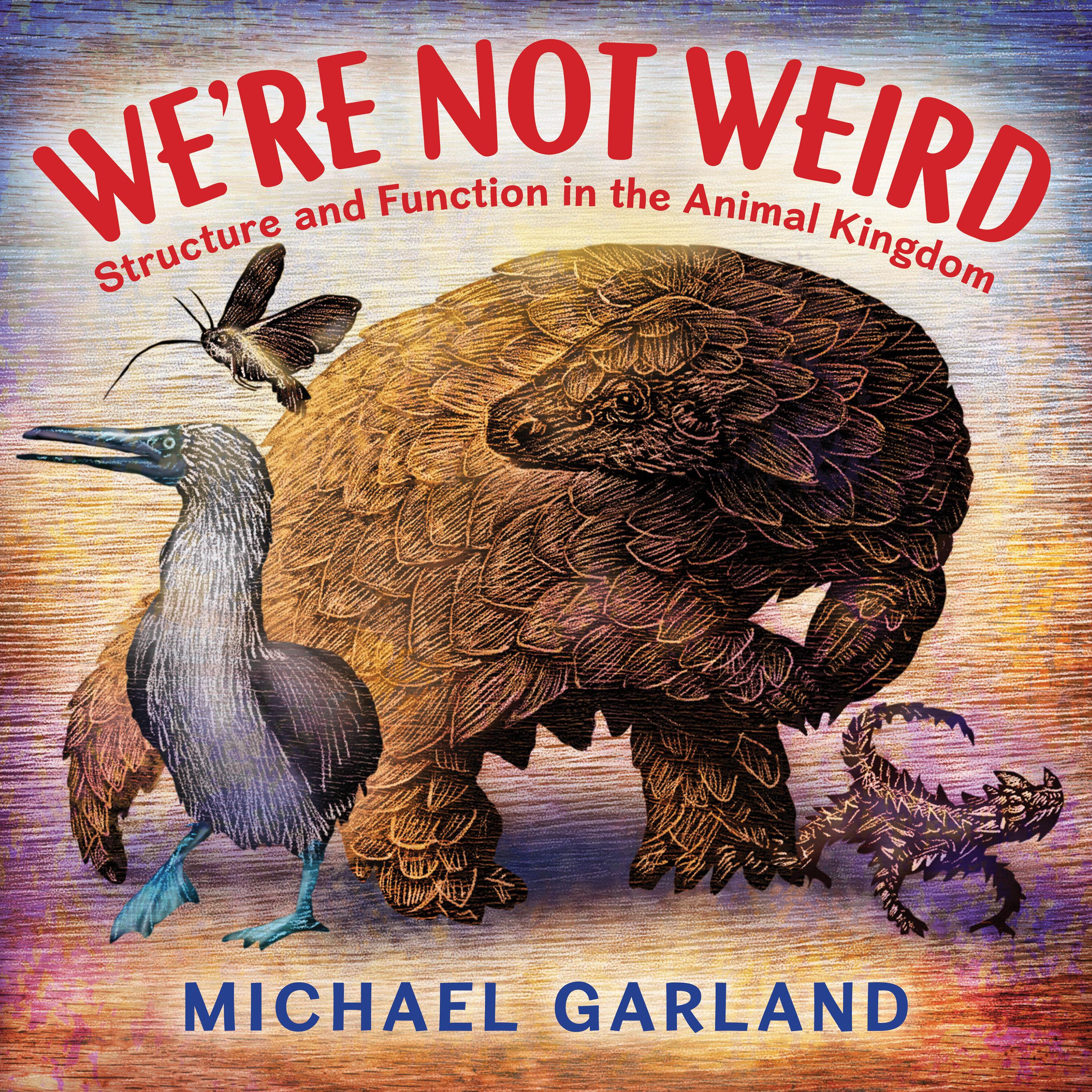 Vorderes Coverbild We're Not Weird