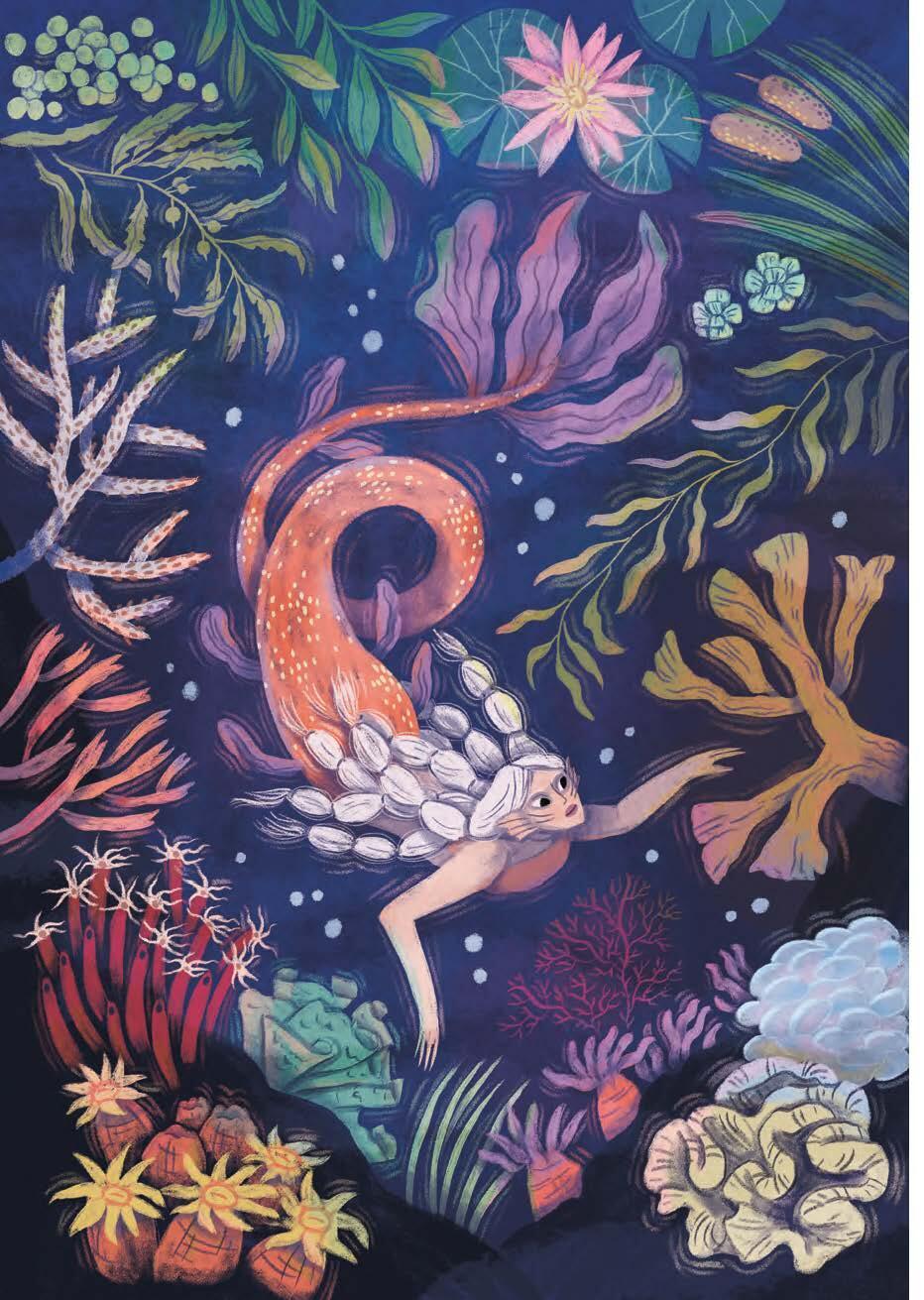 Beispielinhalt (Bild) How to Spot a Mermaid