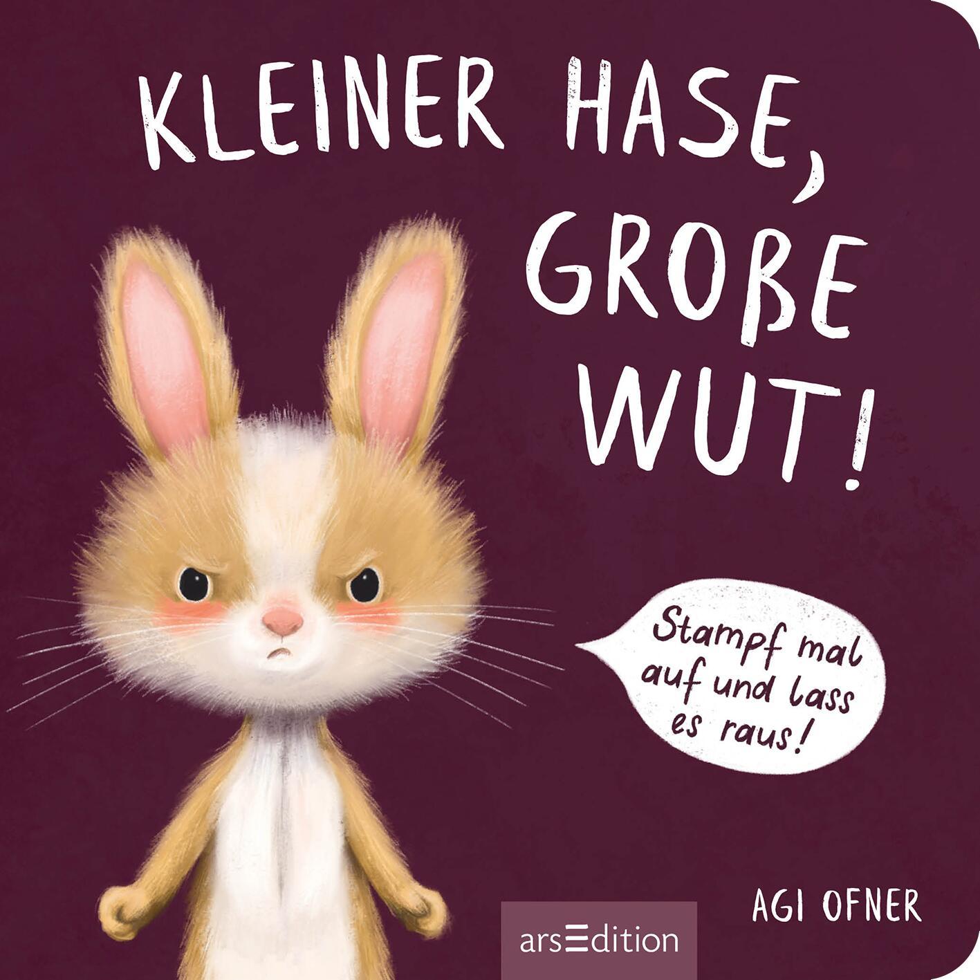Beispielinhalt (Bild) Kleiner Hase, große Wut!