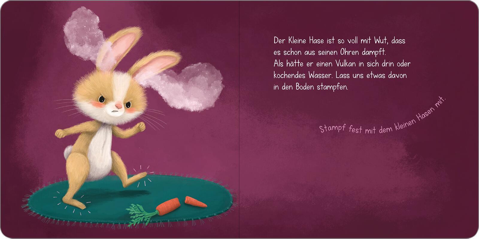 Beispielinhalt (Bild) Kleiner Hase, große Wut!