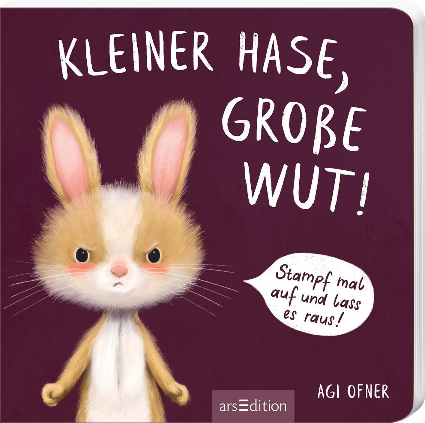 Vorderes Coverbild Kleiner Hase, große Wut!