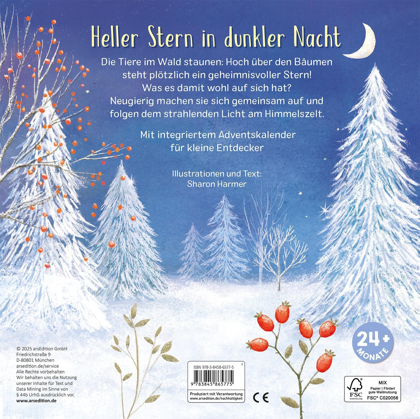 Rückseitencover Mein liebstes Adventskalenderbuch