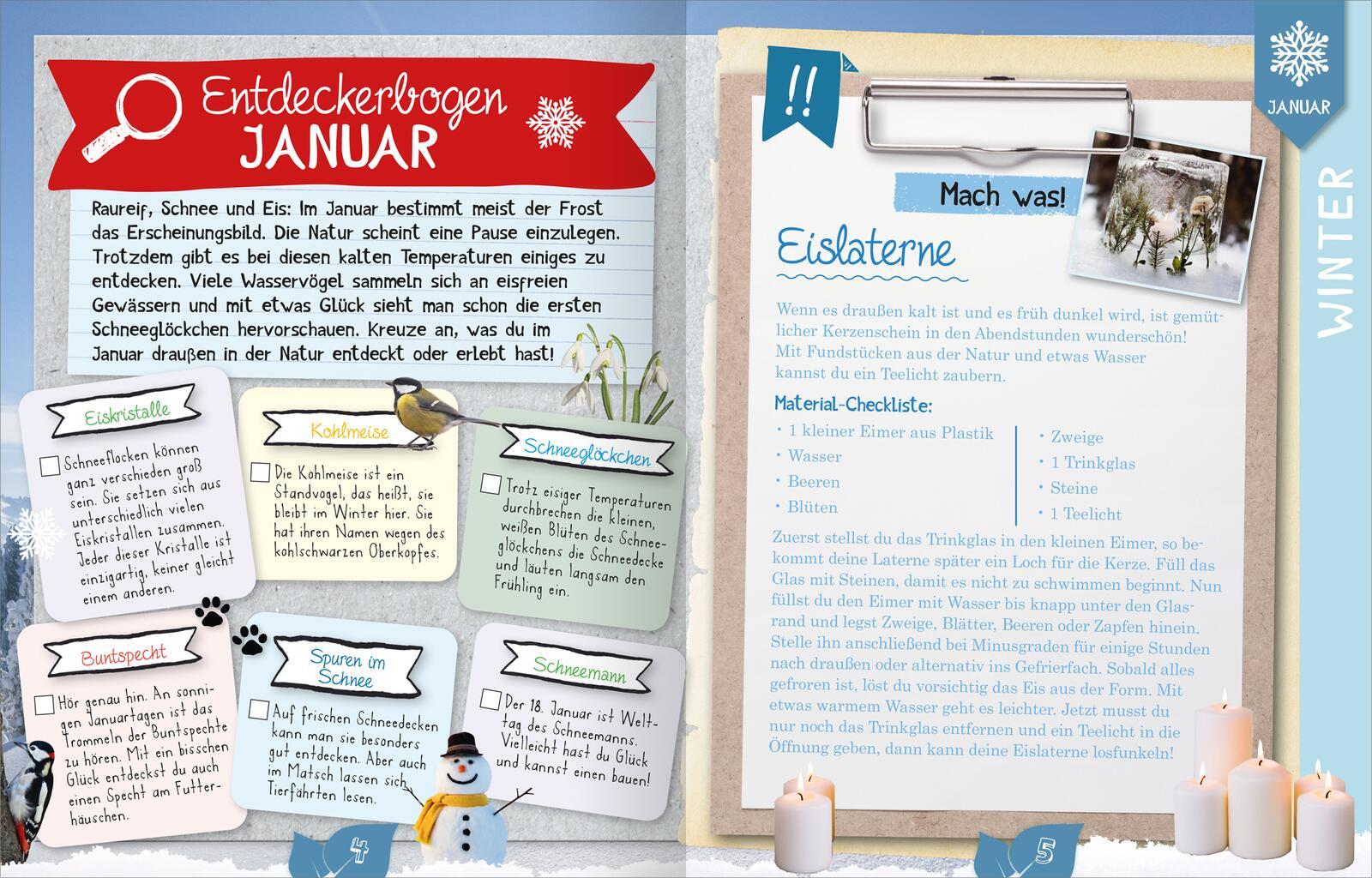 Beispielinhalt (Bild) Naturforscher-Kids - Durch das Jahr