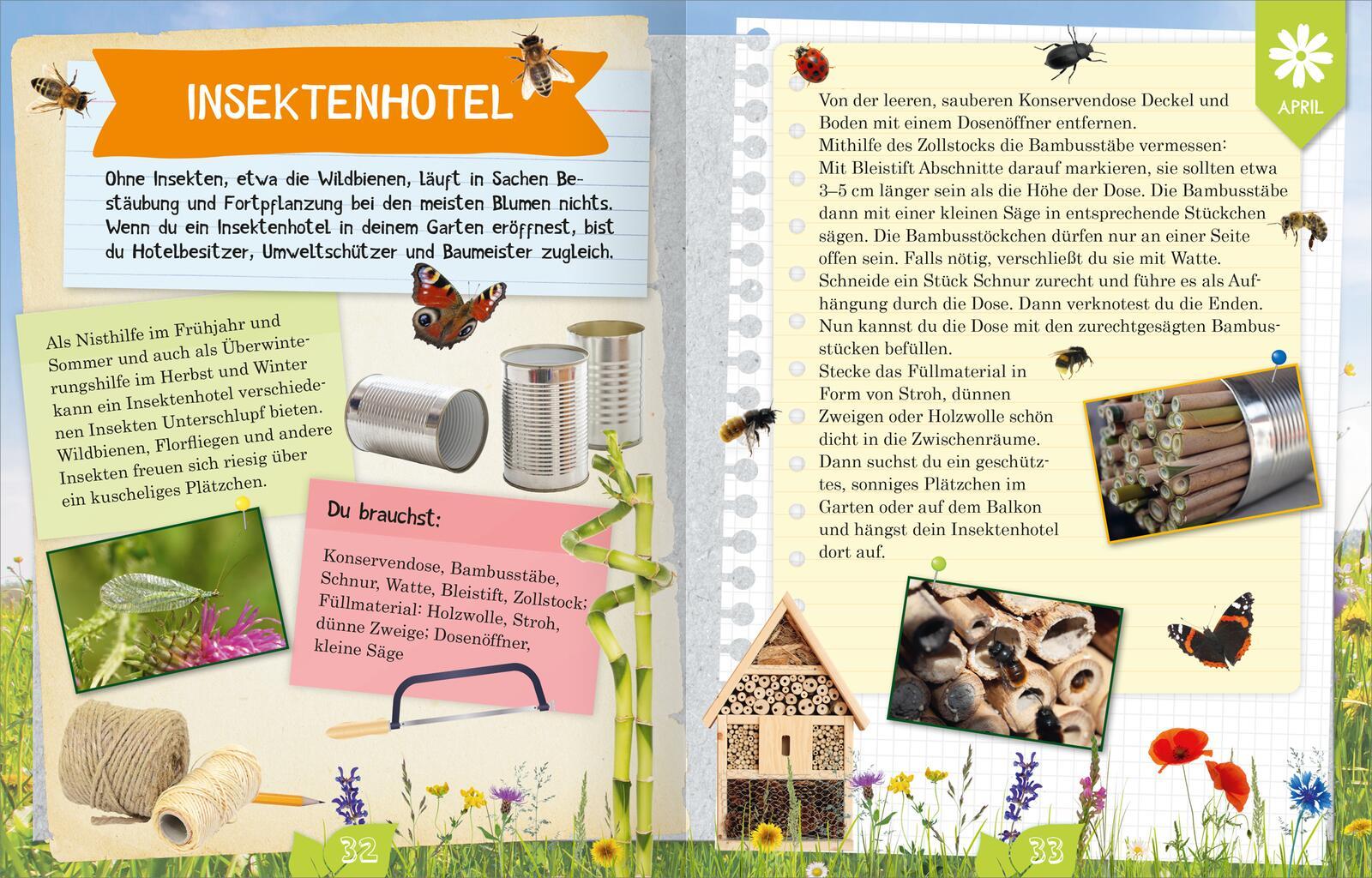 Beispielinhalt (Bild) Naturforscher-Kids - Durch das Jahr