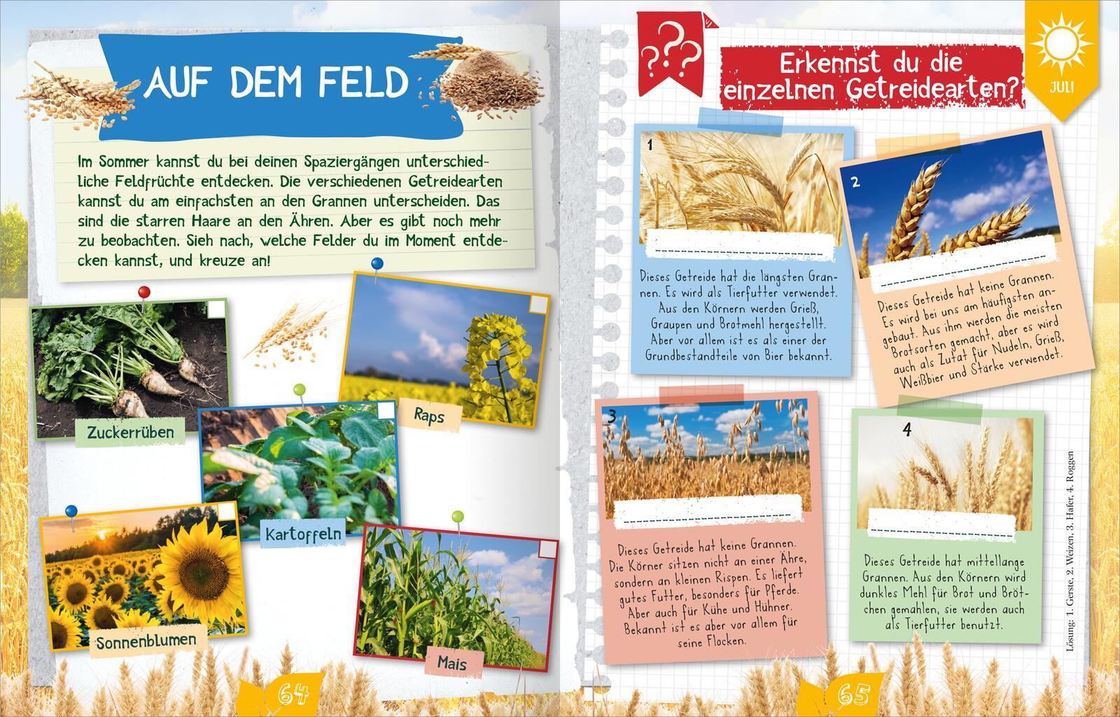 Beispielinhalt (Bild) Naturforscher-Kids - Durch das Jahr