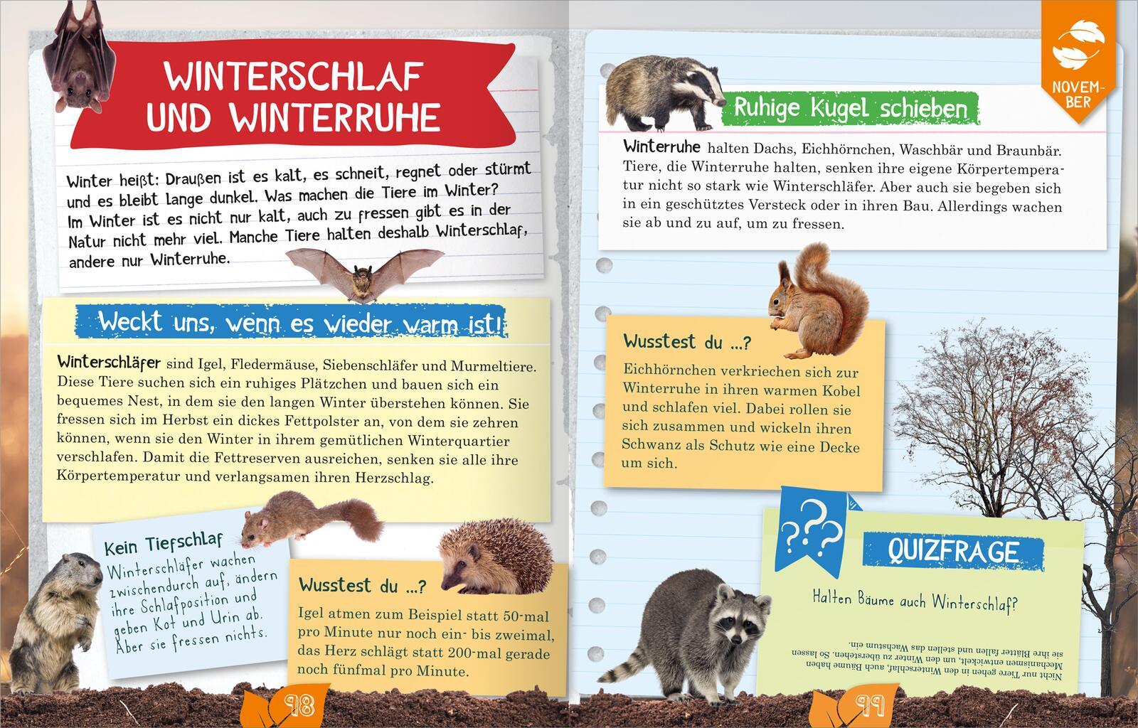 Beispielinhalt (Bild) Naturforscher-Kids - Durch das Jahr