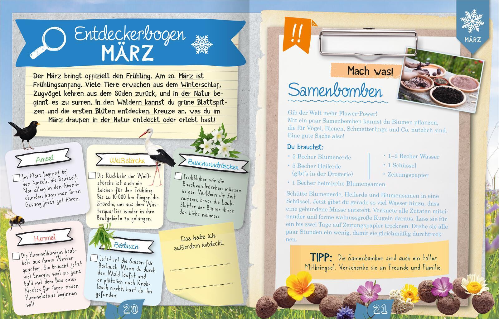 Beispielinhalt (Bild) Naturforscher-Kids - Durch das Jahr