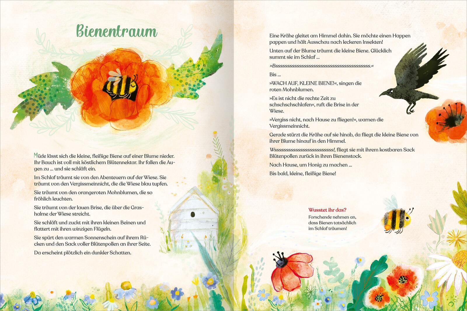 Beispielinhalt (Bild) Geschichtenschatz für 4-Jährige