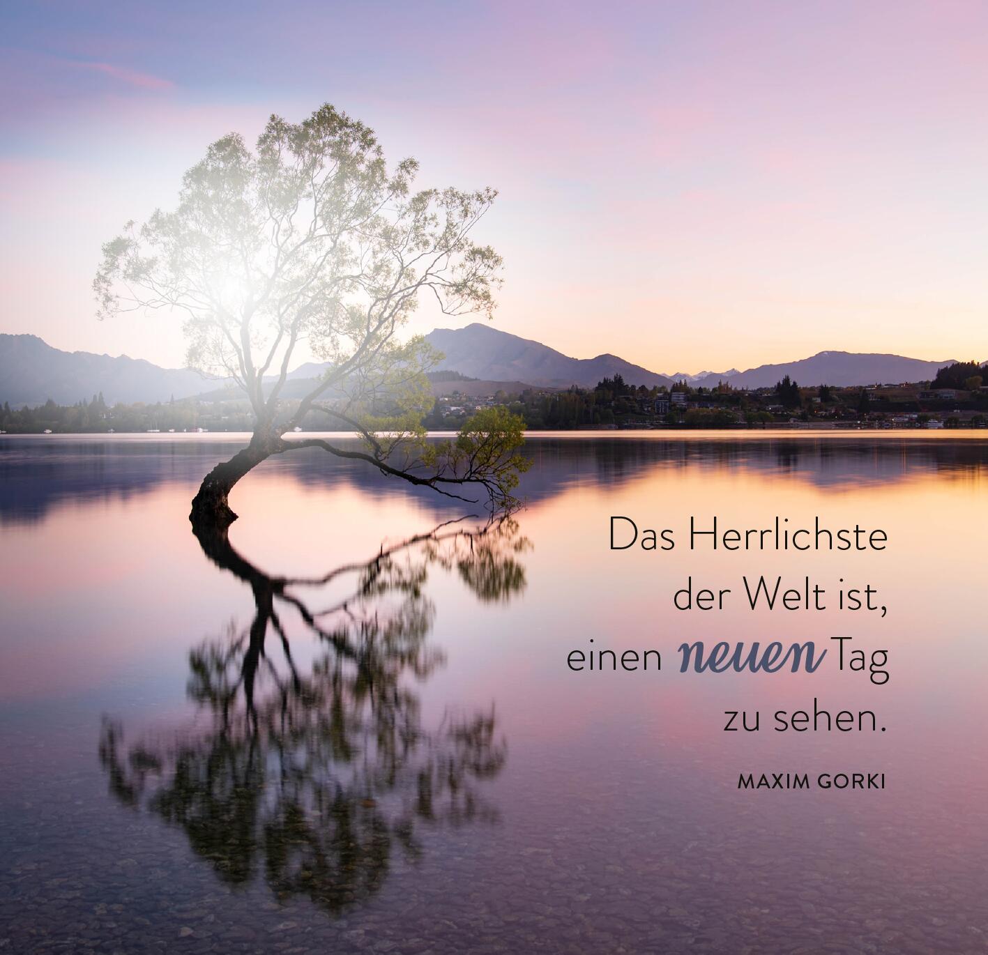 Beispielinhalt (Bild) 365 Tage Sonne im Herzen