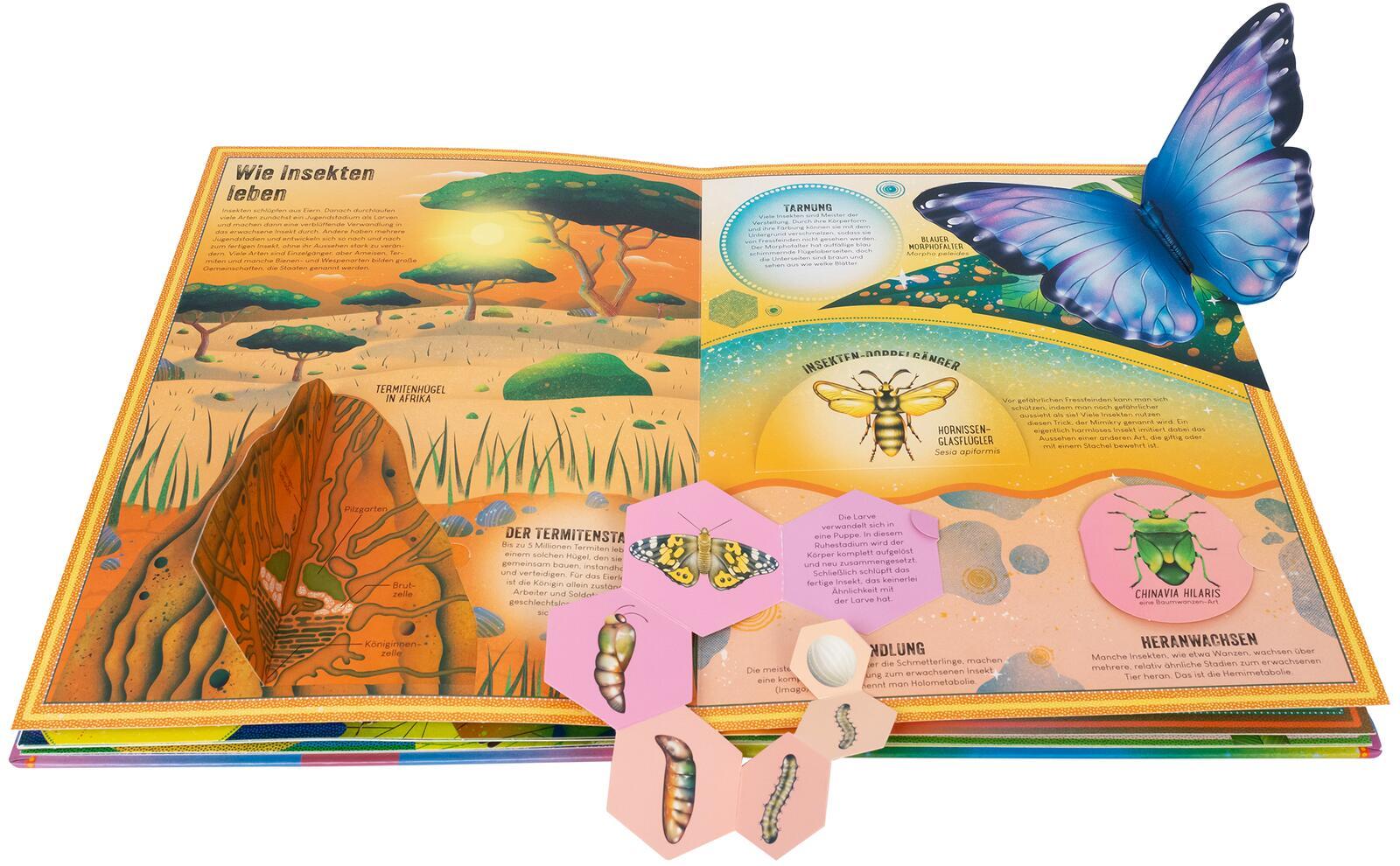 Beispielinhalt (Bild) Das unglaubliche Pop-up-Buch - Insekten