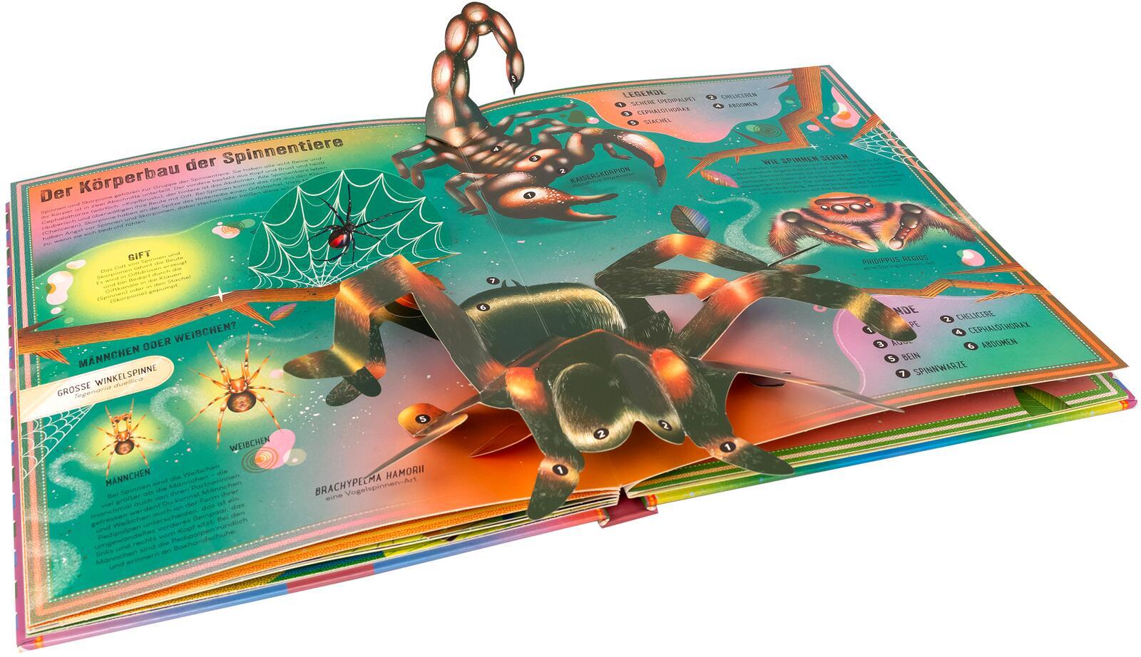 Beispielinhalt (Bild) Das unglaubliche Pop-up-Buch - Insekten