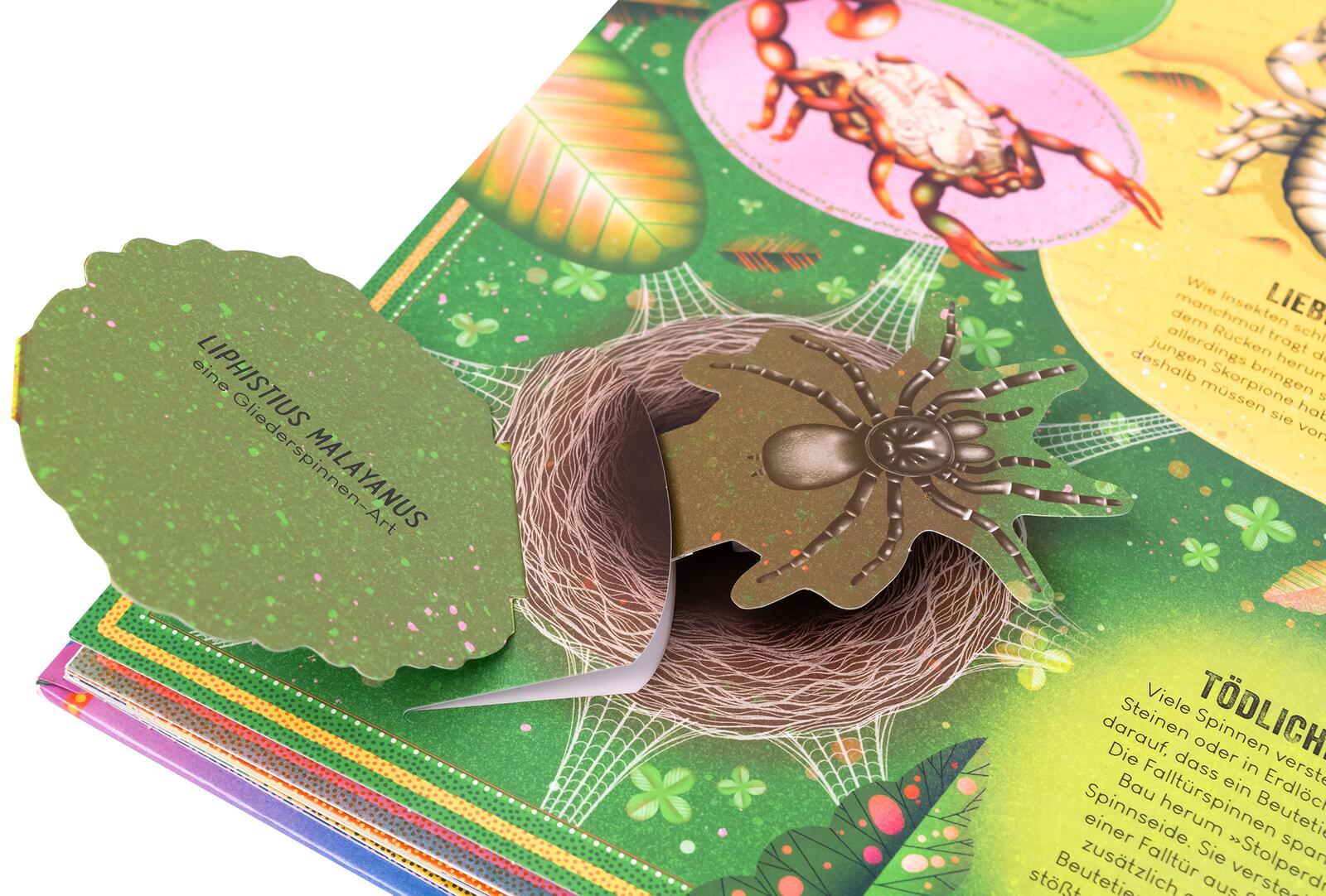 Beispielinhalt (Bild) Das unglaubliche Pop-up-Buch - Insekten