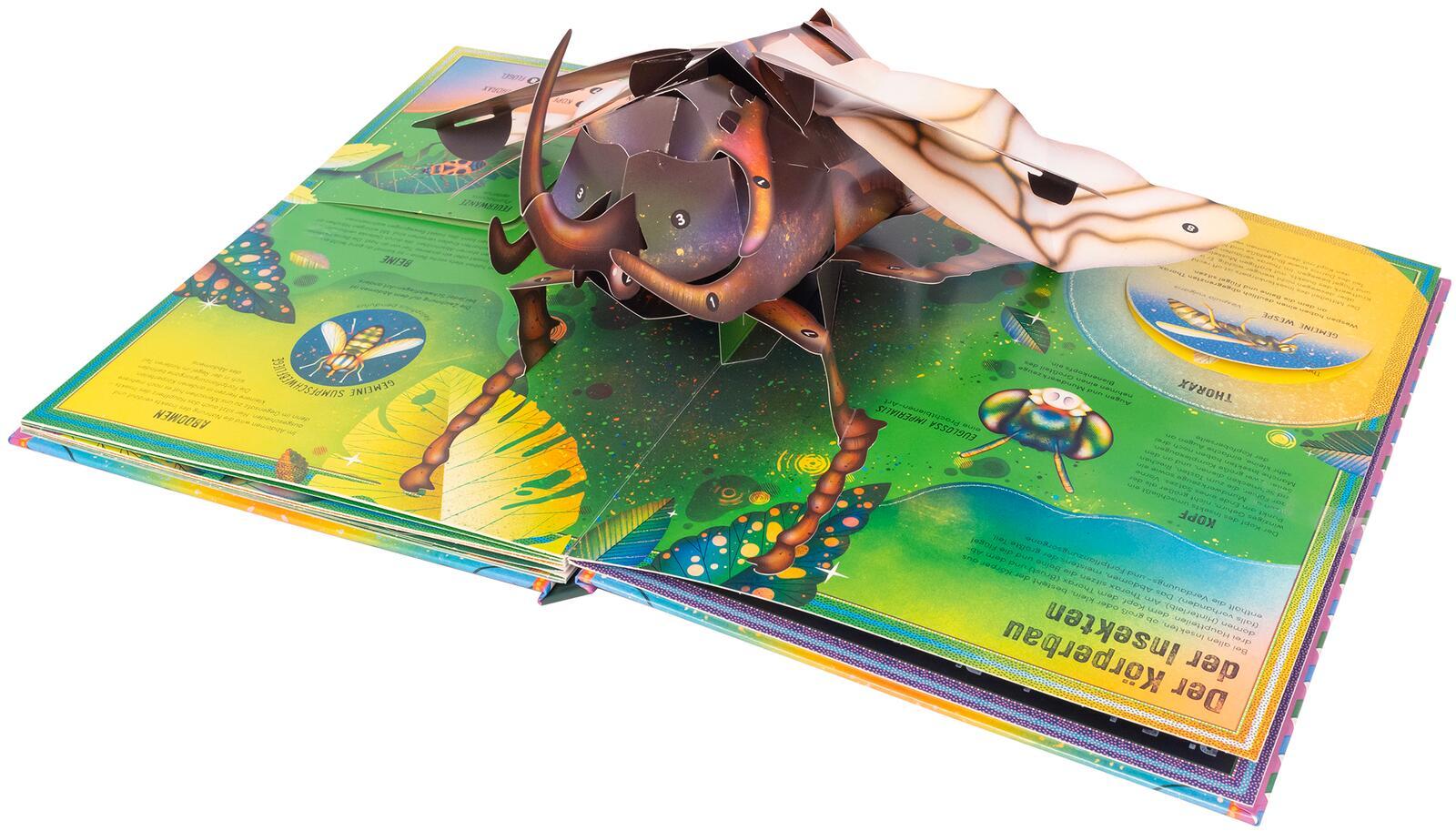 Beispielinhalt (Bild) Das unglaubliche Pop-up-Buch - Insekten