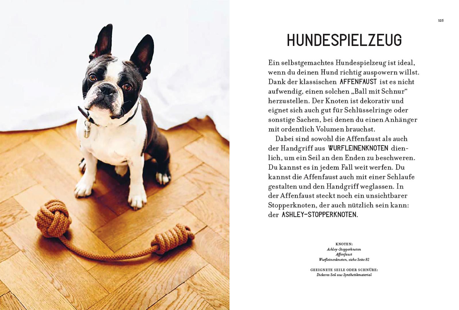 Beispielinhalt (Bild) Knoten