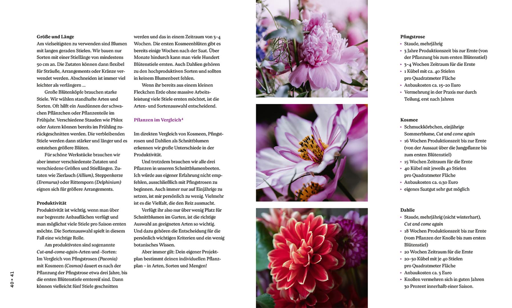 Beispielinhalt (Bild) Nachhaltige Schnittblumen