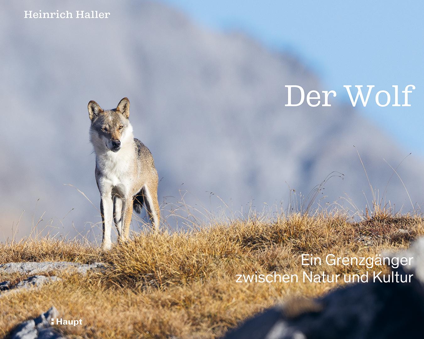 Vorderes Coverbild Der Wolf