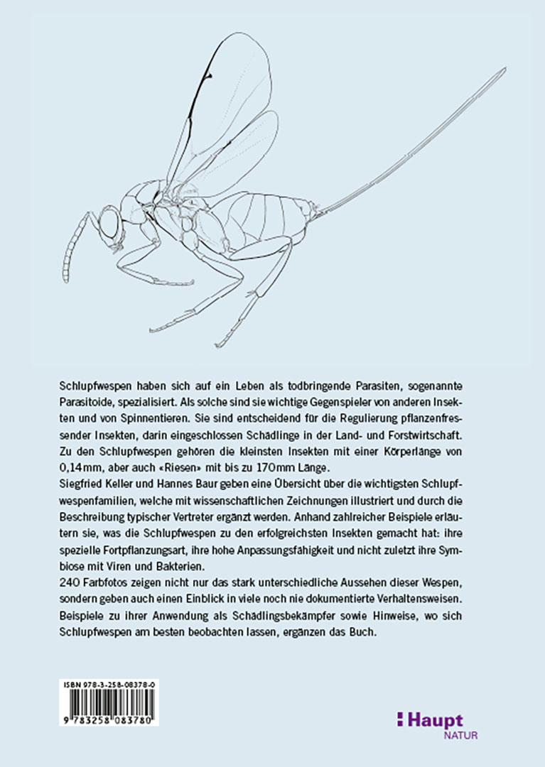 Rückseitencover Schlupfwespen