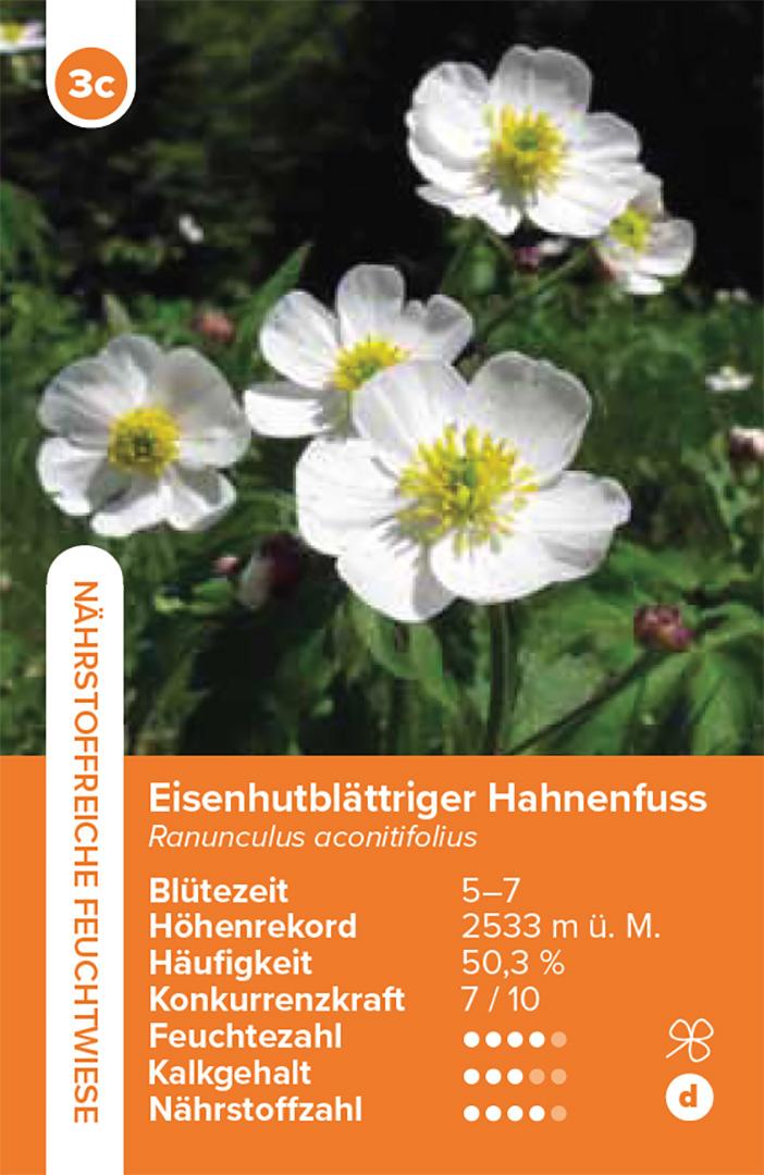 Beispielinhalt (Bild) Lebensräume Wiesen und Weiden - das Quartett-Spiel