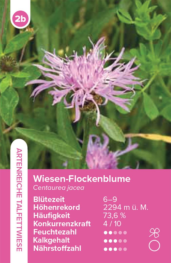 Beispielinhalt (Bild) Lebensräume Wiesen und Weiden - das Quartett-Spiel