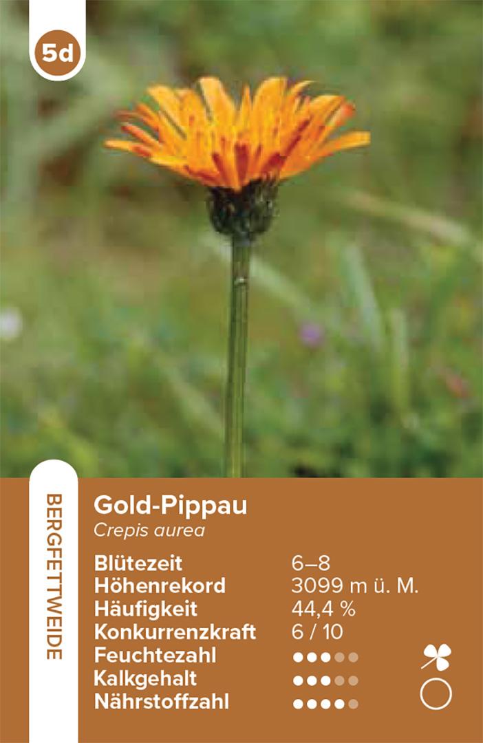 Beispielinhalt (Bild) Lebensräume Wiesen und Weiden - das Quartett-Spiel