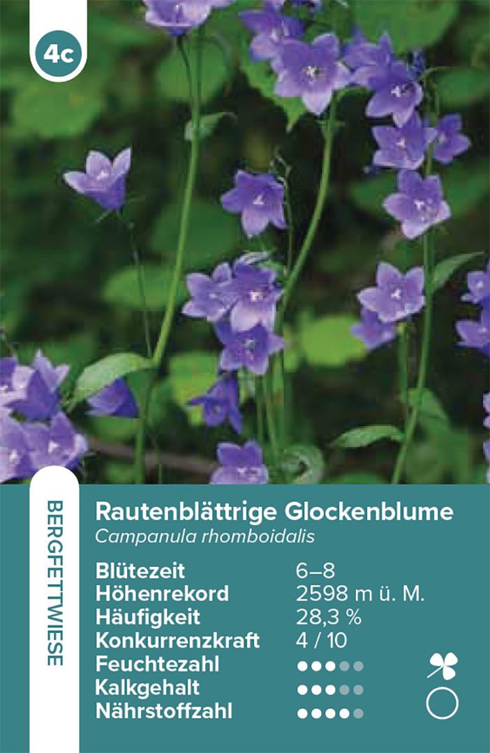 Beispielinhalt (Bild) Lebensräume Wiesen und Weiden - das Quartett-Spiel