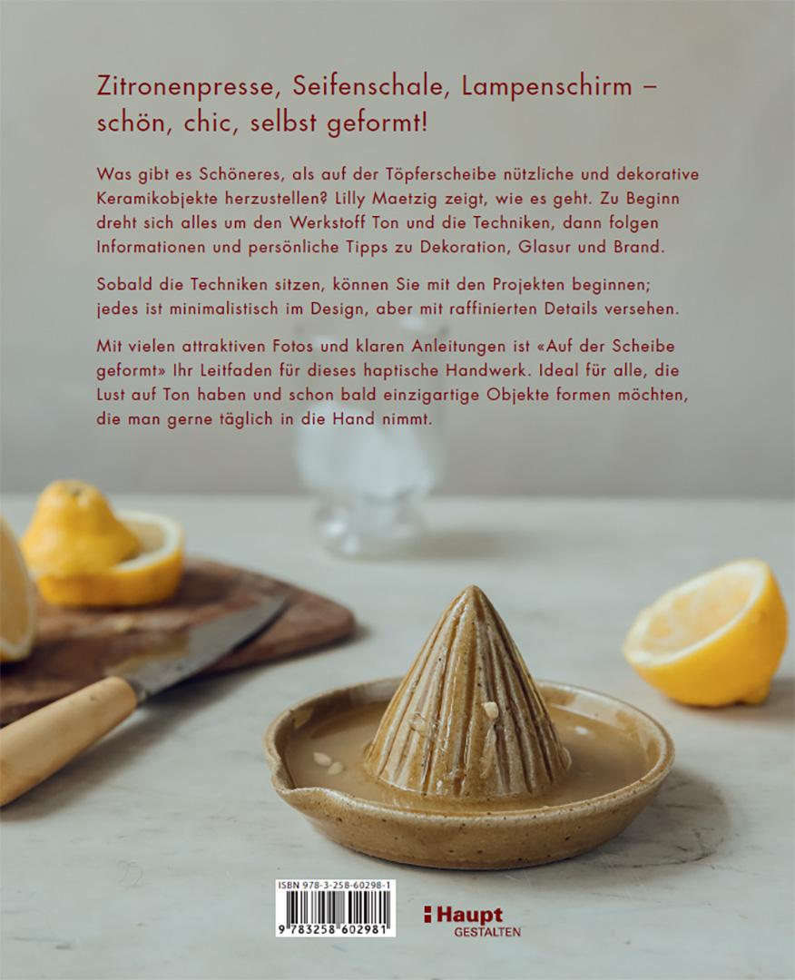 Rückseitencover Auf der Scheibe geformt